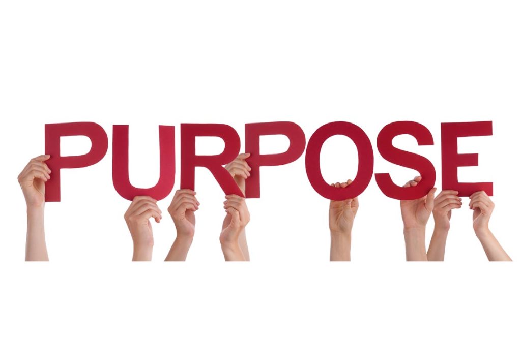 organizational purpose